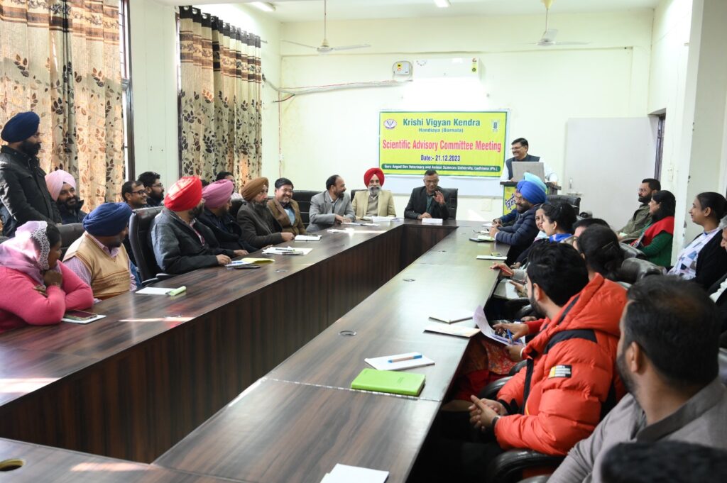 WhatsApp Image 2023-12-22 at 15.58.24